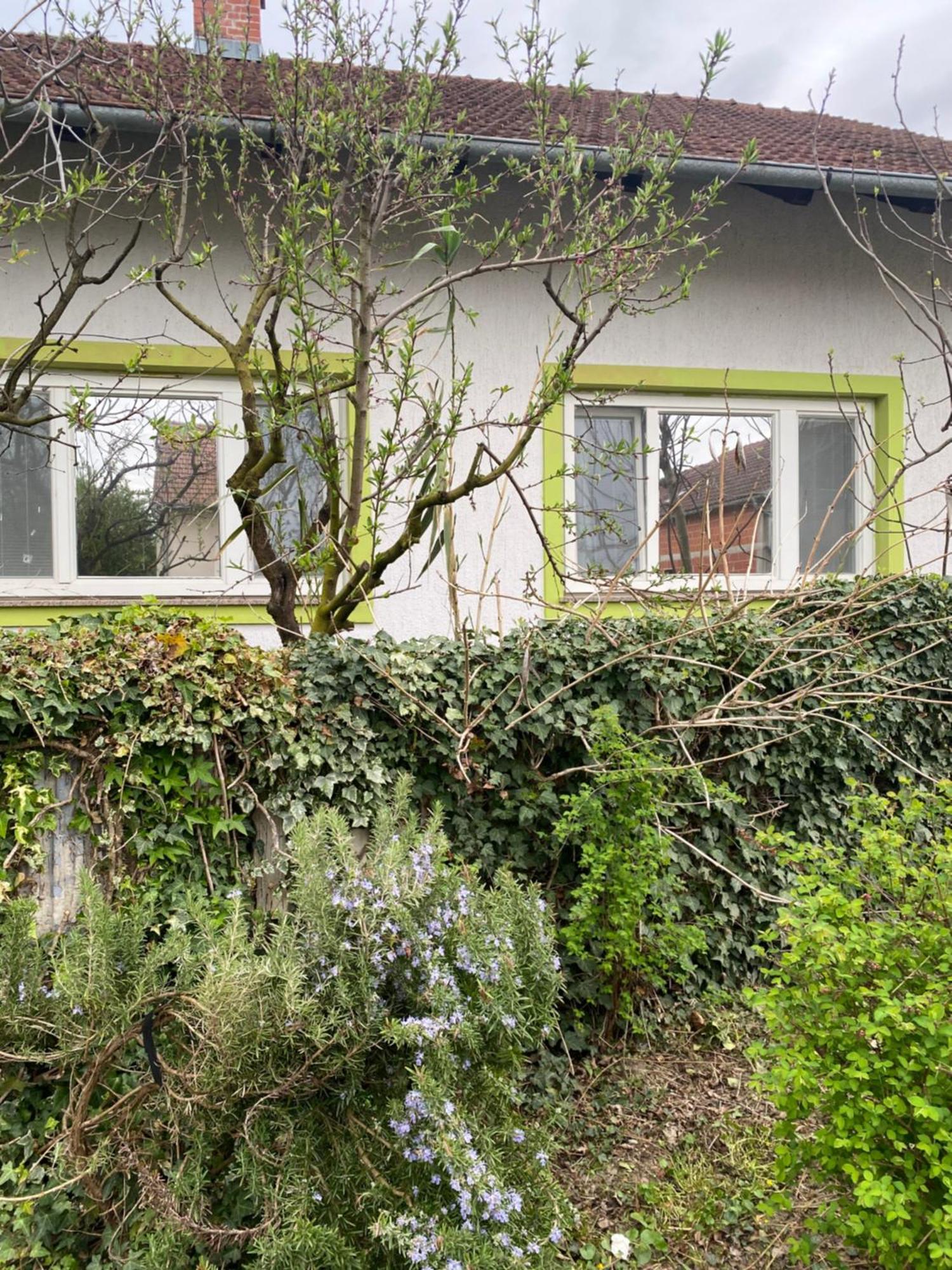 Mala Subotica Apartment Hiza 38 מראה חיצוני תמונה