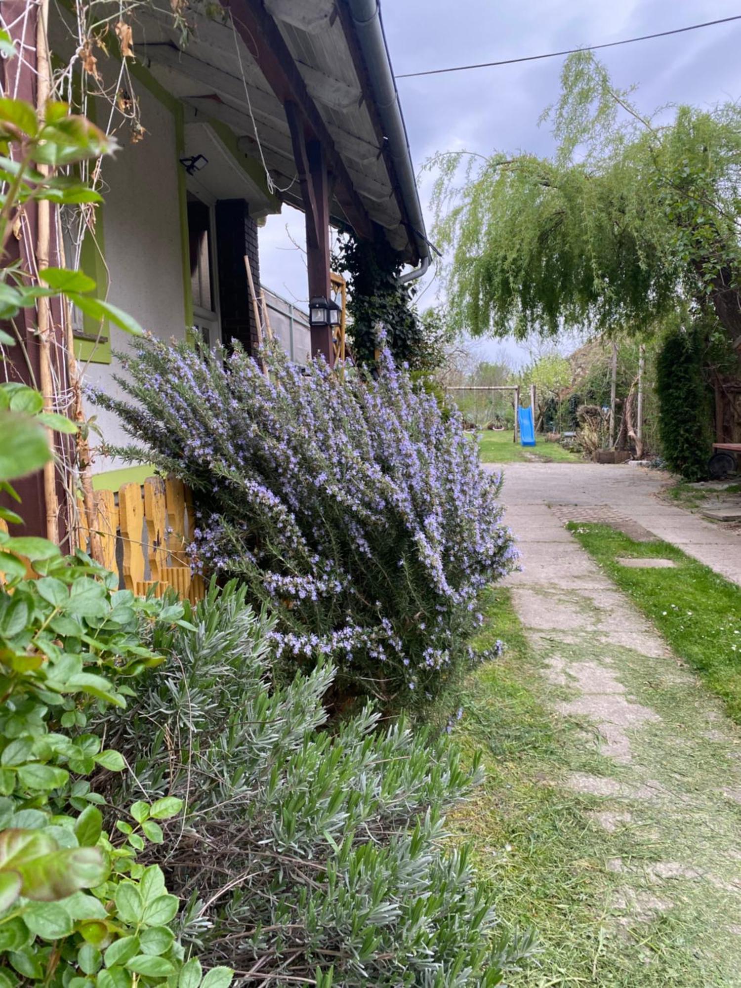 Mala Subotica Apartment Hiza 38 מראה חיצוני תמונה
